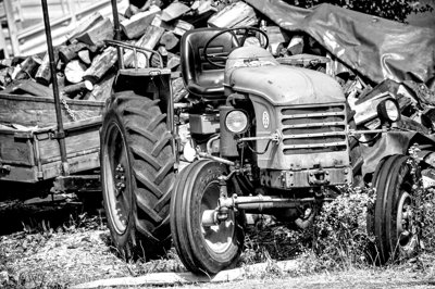 Strabisme agricole_4793247185_l.jpg